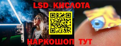 прущие грибы Лесосибирск