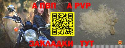 прущие грибы Лесосибирск