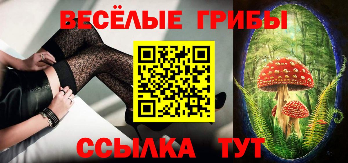 Усть-Джегута  Псилоцибиновые грибы ЛСД  купить  цена  Вход с VPN 