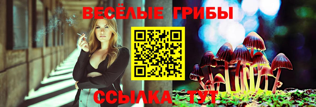 Галлюциногенные грибы мухоморы Усть-Джегута
